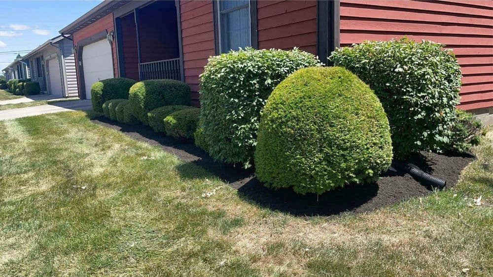 About Simple Green Lawn & Services